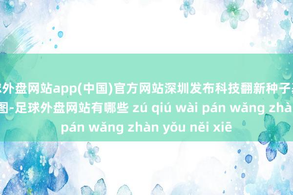 足球外盘网站app(中国)官方网站深圳发布科技翻新种子基金风险补偿有贪图-足球外盘网站有哪些 zú qiú wài pán wǎng zhàn yǒu něi xiē