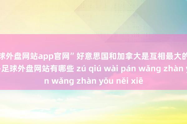 足球外盘网站app官网”　　好意思国和加拿大是互相最大的电力生意伙伴-足球外盘网站有哪些 zú qiú wài pán wǎng zhàn yǒu něi xiē