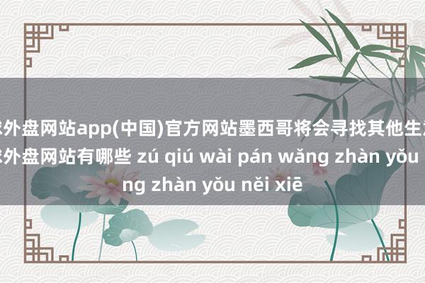 足球外盘网站app(中国)官方网站墨西哥将会寻找其他生意伙伴-足球外盘网站有哪些 zú qiú wài pán wǎng zhàn yǒu něi xiē